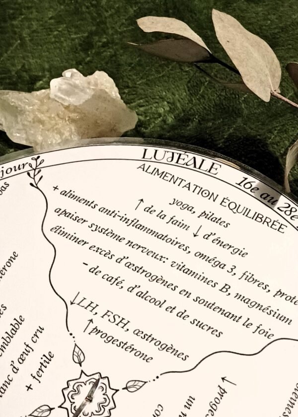 · Calendrier Lunaire Menstruel ·