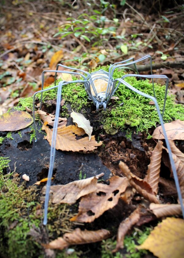 Araignée · Citrine & acier galvanisé