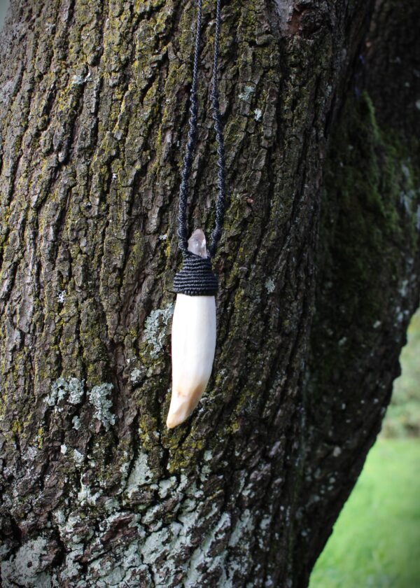 Collier · Macramé, dent de Morse et Quartz