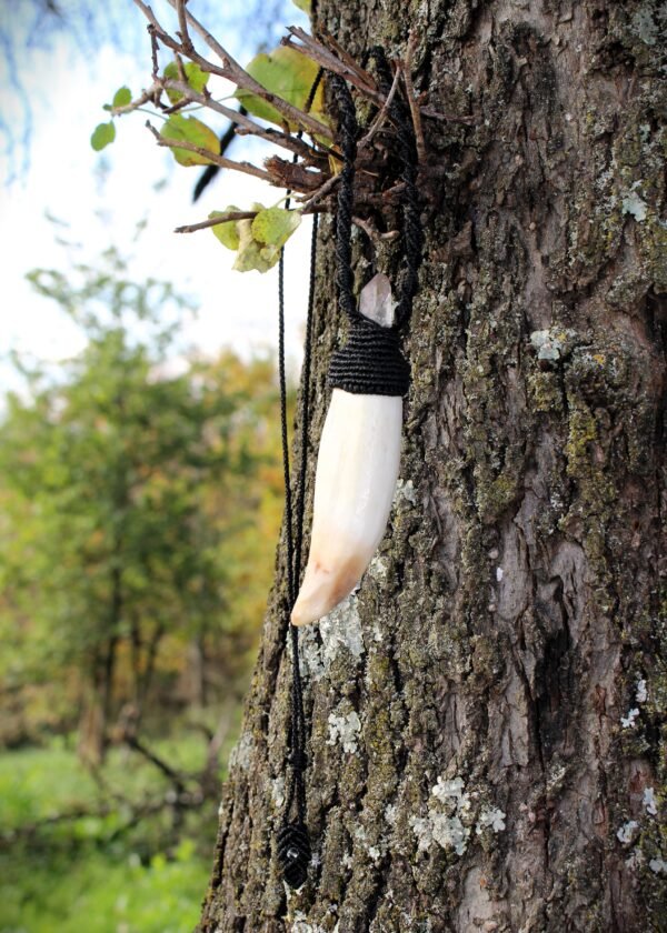 Collier · Macramé, dent de Morse et Quartz
