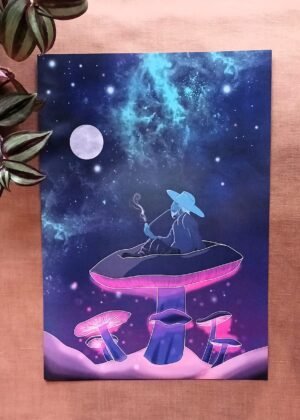 · Mycelium rêveur ·