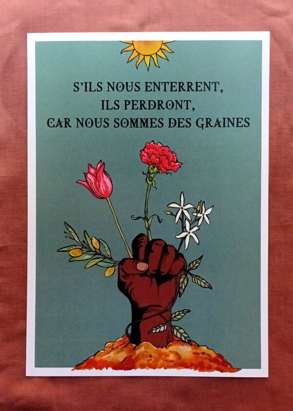 20251102_170749 (1) · Des Graines ·